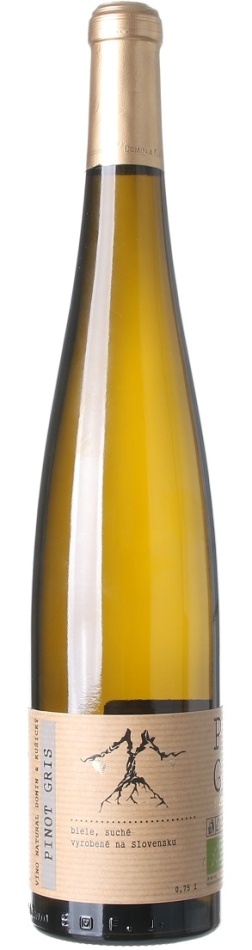 VÍNO NATURAL Domin & Kušický Rulandské šedé BIO 0,75