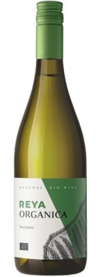 Reya Organica Sauvignon BIO 0.75L, r2023, ak, bl, su, sc