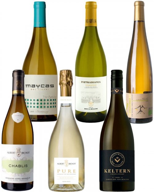 TOP Chardonnay,bl