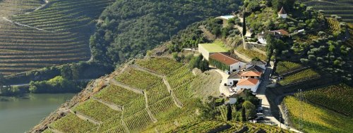 Ochutnejte jedinečná vína z Portugalska - Quinta do Crasto