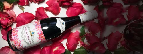 Mladá vína - ochutnejte Svatomartinské i Beaujolais 
