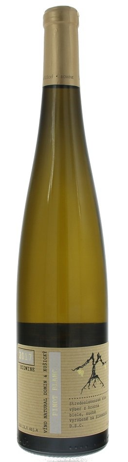 VÍNO NATURAL Domin & Kušický Rulandské bílé, BIO 0.75L, r2017, vzh, bl, su