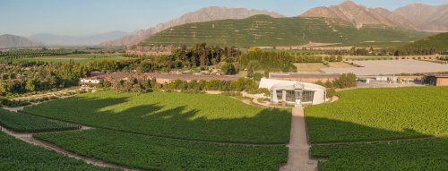 Chile, země stylových vín