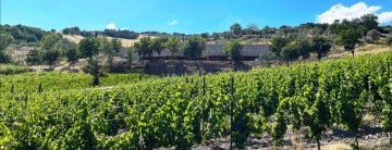 La Nascosta