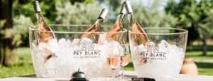 Pey Blanc - dokonalé rosé z Aix-en-Provence