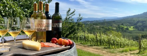 Novinka z Jurancon Clos Lapeyre