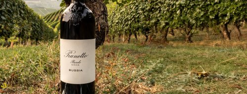 Průvodce italského vína a jídla