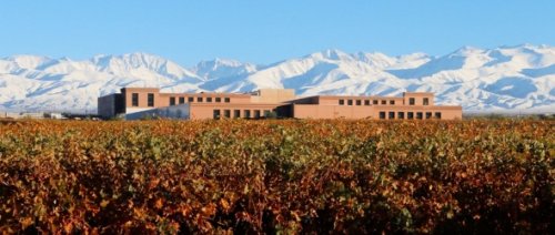 Připijme si Malbecem, v dubnu se slaví Malbec World Day