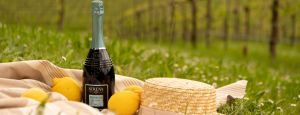 Proč stoupá popularita vín frizzante