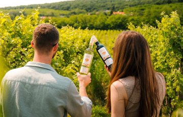 Slovenské vinice