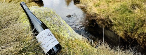 Jedno z nejstarších vinařství v Alto Adige –Tiefenbrunner