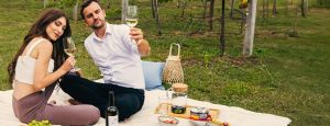 Slovenské vinařské regiony - rozmanitost ukrytá ve sklenici vína