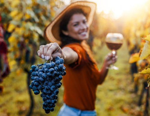 Slovenské vinobraní -30%
